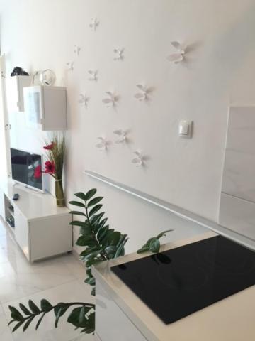 Cute Studio-Great Location Zadar Zewnętrze zdjęcie